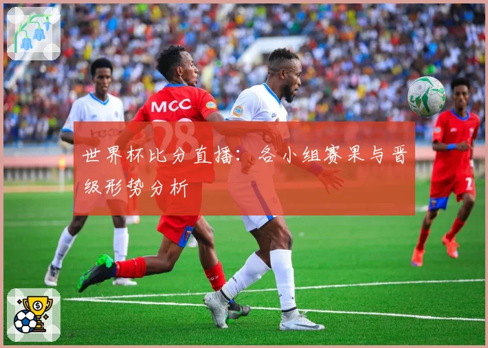 世界杯比分直播:各小组赛果与晋级形势分析