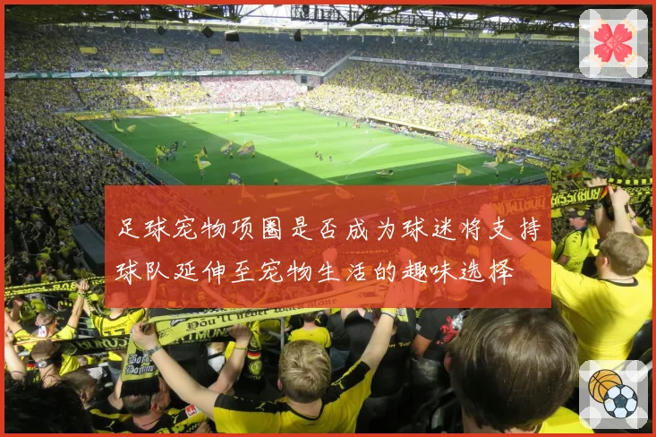 足球宠物项圈是否成为球迷将支持球队延伸至宠物生活的趣味选择