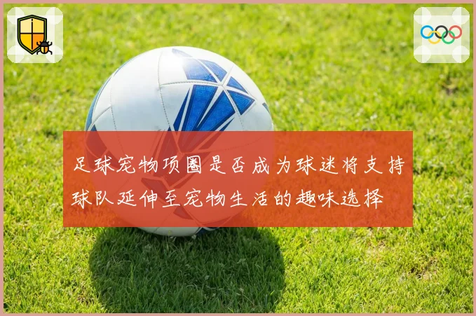 足球宠物项圈是否成为球迷将支持球队延伸至宠物生活的趣味选择
